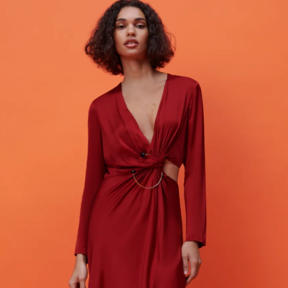 ZARA NWT LIMITED EDITION CUT OUT DRESS